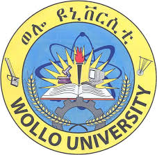 Wollo University